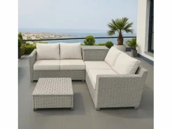 Concept-Usine Salones De Jardín * Conjunto de jardín de esquina 4 plazas de ratán sintético con baúl de almacenamiento y mesa de centro Gris